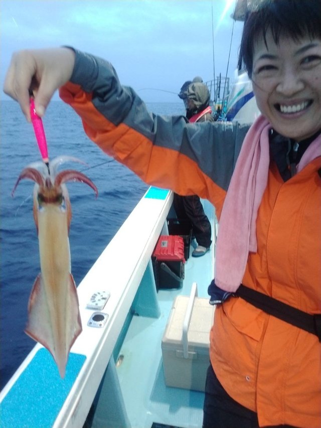 イカ(ヤリイカ)