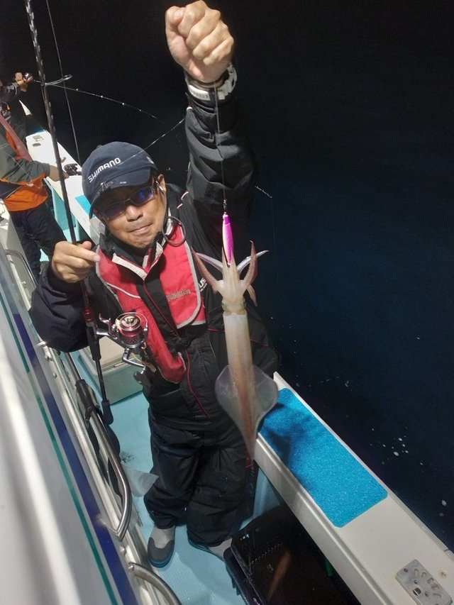 イカ(ヤリイカ)