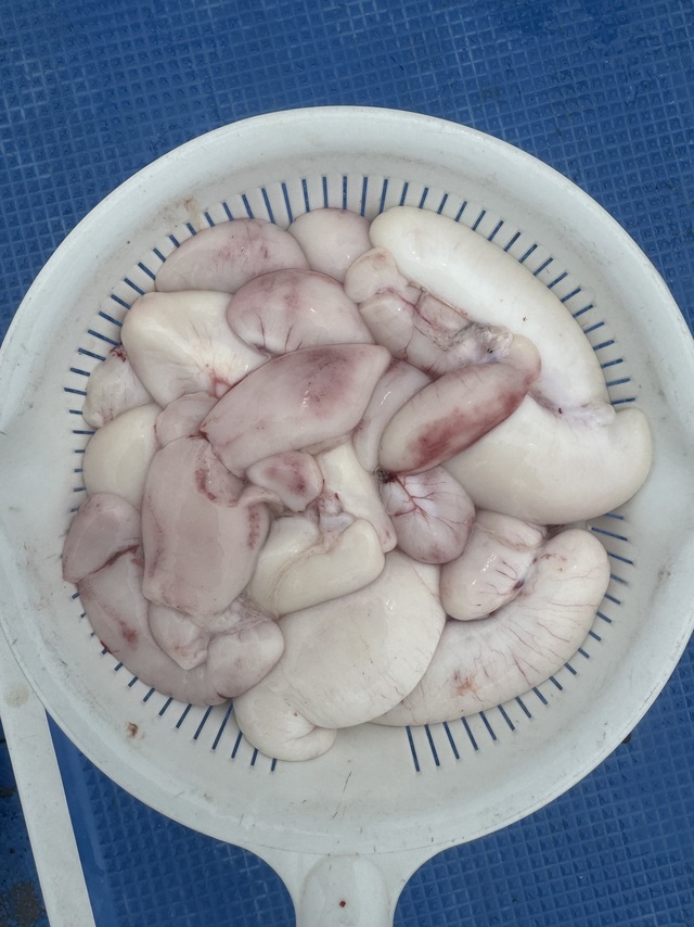 フグ(ショウサイフグ)