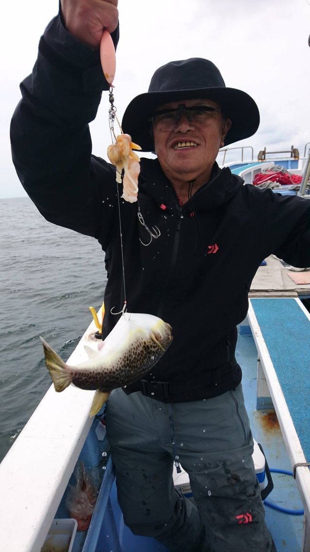 ショウサイフグ