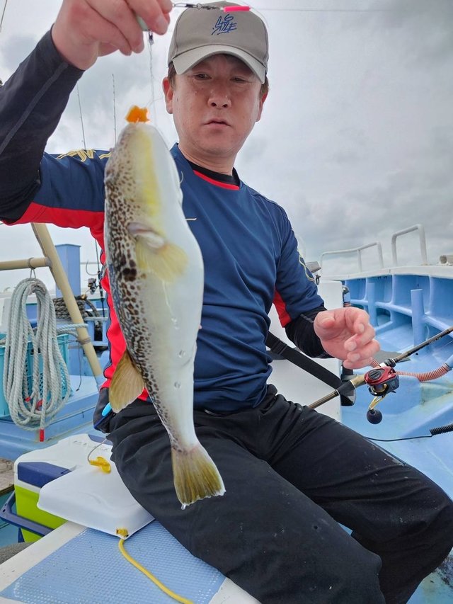 ショウサイフグ