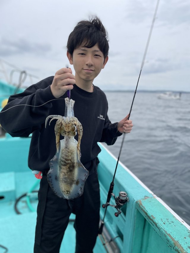 アオリ(アオリイカ)