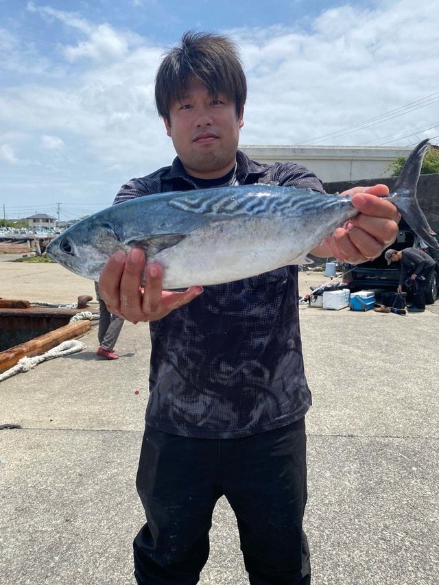 スマガツオ(スマ)