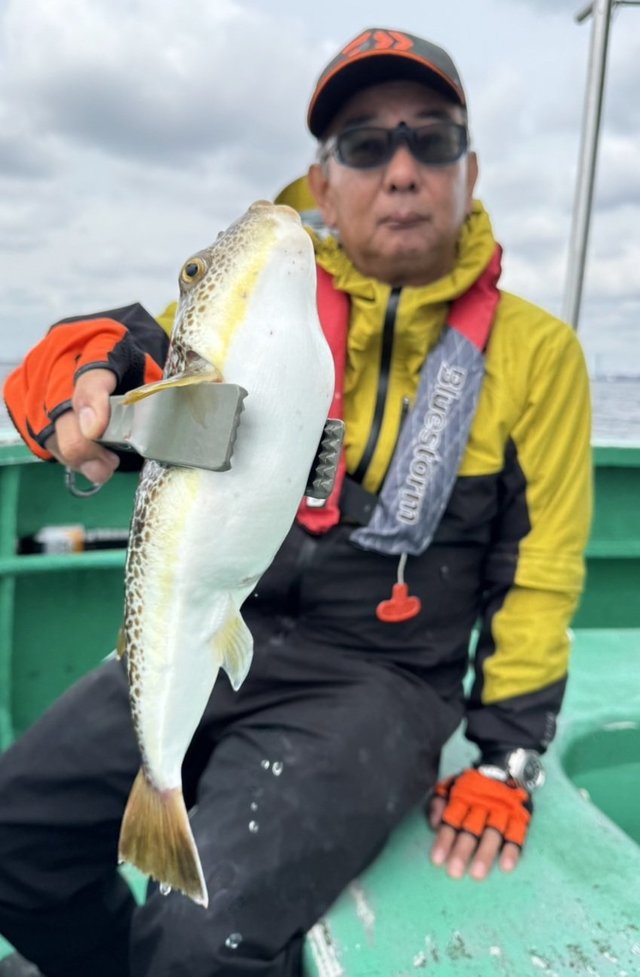 ショウサイフグ