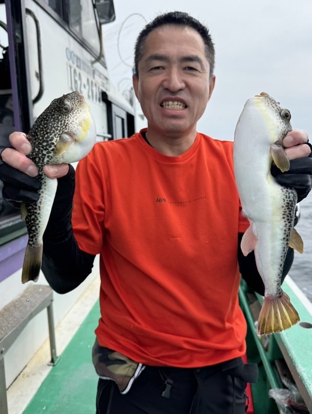 ショウサイフグ