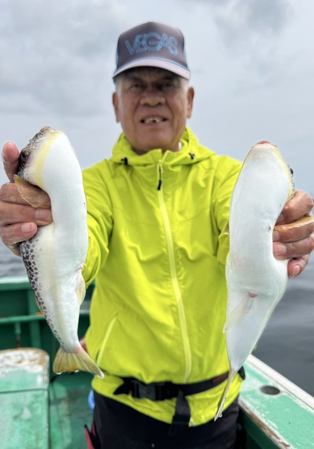 ショウサイフグ