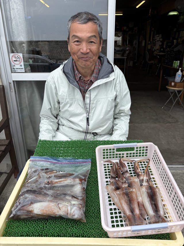 ムギイカ(スルメイカ)