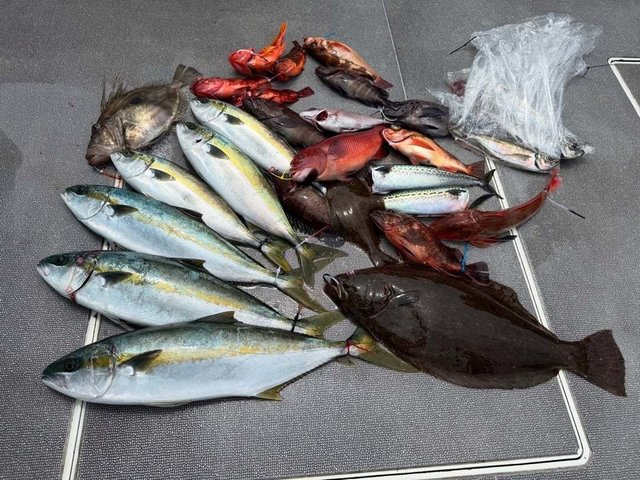 ブリ・カサゴ・ヒラメ・マトウダイ・サバ(ゴマサバ)