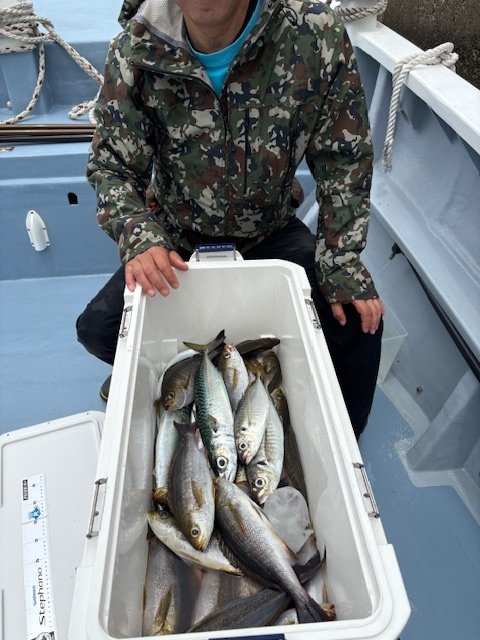 アジ(マアジ)・イサキ・サバ(ゴマサバ)