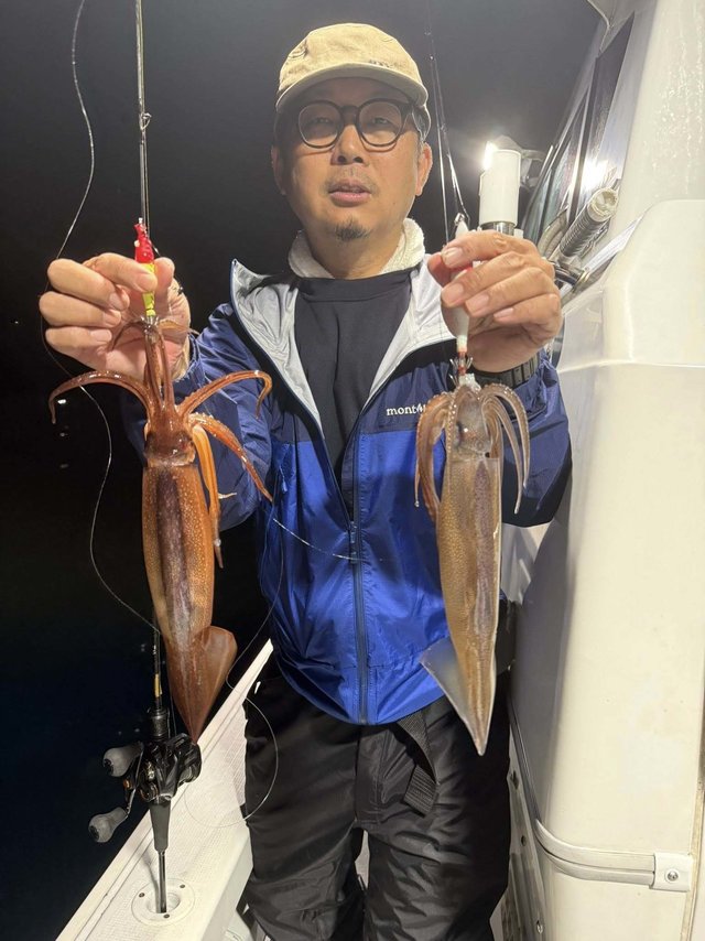 ケンサキイカ・スルメ(スルメイカ)