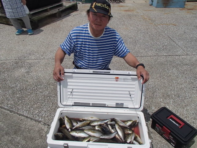 マアジ・イサキ