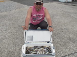 マアジ・イサキ