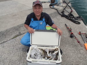 マアジ・イサキ