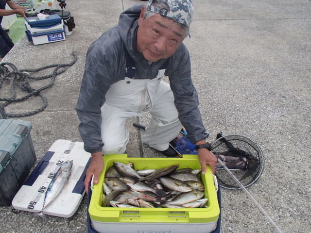 マアジ・イサキ