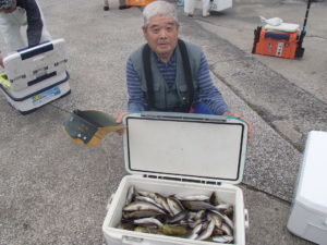 マアジ・イサキ