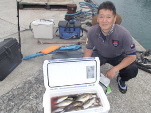 マアジ・イサキ