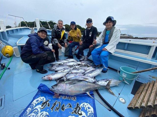 キハダマグロ(キハダ)・カツオ