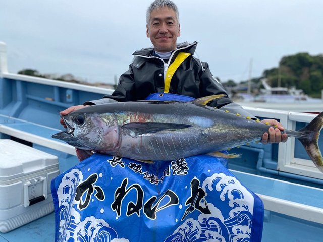 キハダマグロ(キハダ)