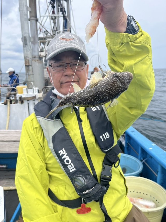 ショウサイフグ