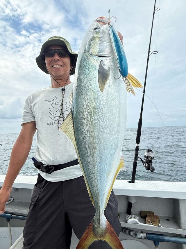 サンパク(ブリ)