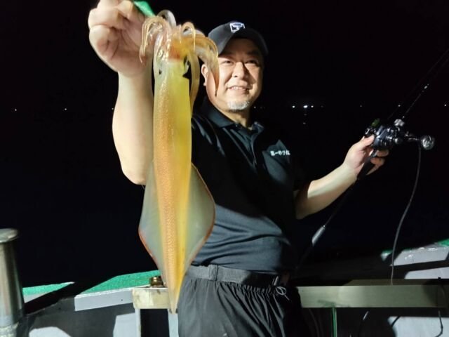 イカ(ヤリイカ)