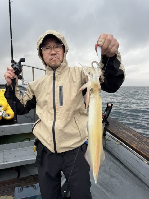 イカ(ヤリイカ)