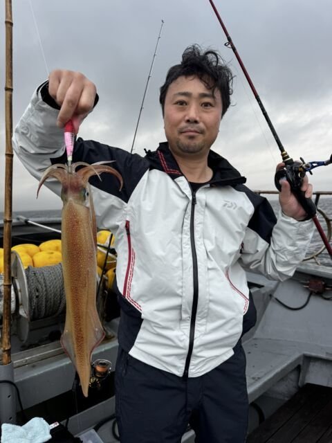 イカ(ヤリイカ)