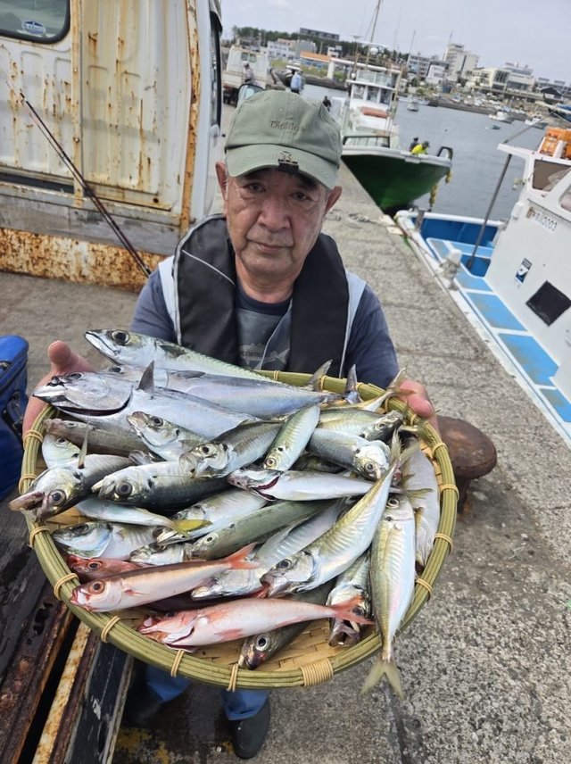 アジ(マアジ)・イサキ・ソウダガツオ(ヒラソウダ)・ハチビキ・サバ(ゴマサバ)