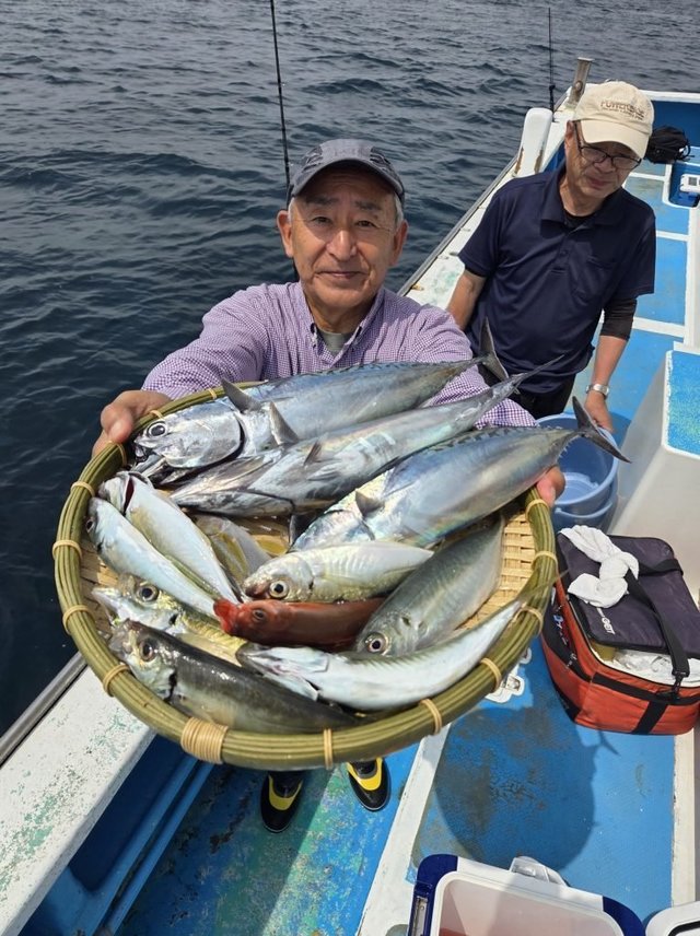 アジ(マアジ)・イサキ・ソウダガツオ(ヒラソウダ)・ハチビキ・サバ(ゴマサバ)