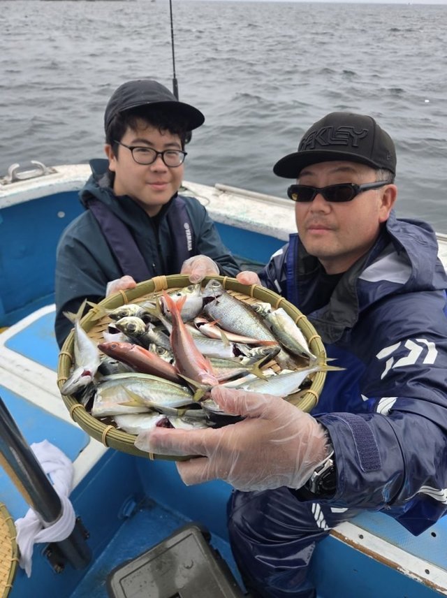 アジ(マアジ)・ブリモドキ・タカベ・イサキ・マルソウダガツオ(マルソウダ)・ハチビキ・サバ(ゴマサバ)