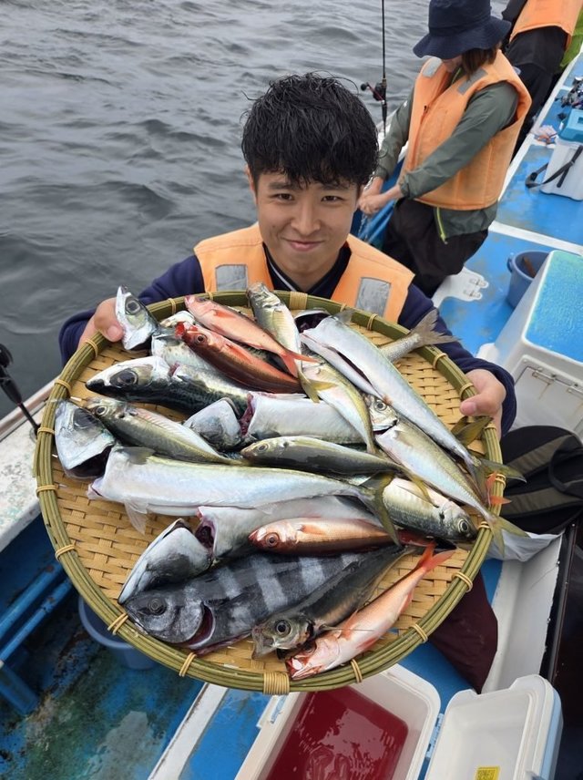 アジ(マアジ)・ブリモドキ・タカベ・イサキ・マルソウダガツオ(マルソウダ)・ハチビキ・サバ(ゴマサバ)