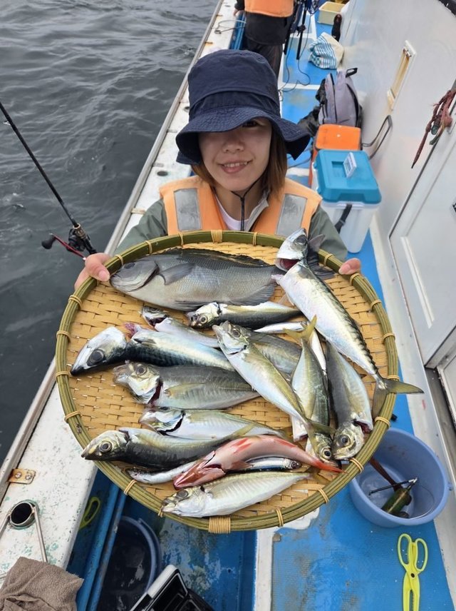 アジ(マアジ)・ブリモドキ・タカベ・イサキ・マルソウダガツオ(マルソウダ)・ハチビキ・サバ(ゴマサバ)