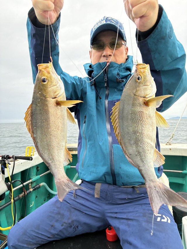 イサギ(イサキ)