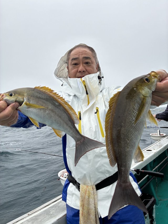 イサギ(イサキ)