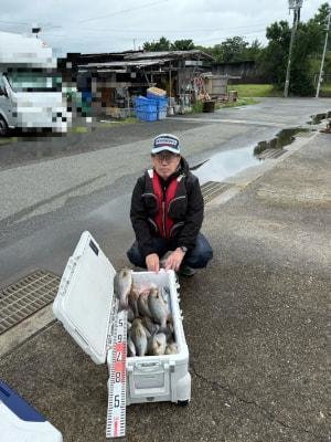 イサギ(イサキ)