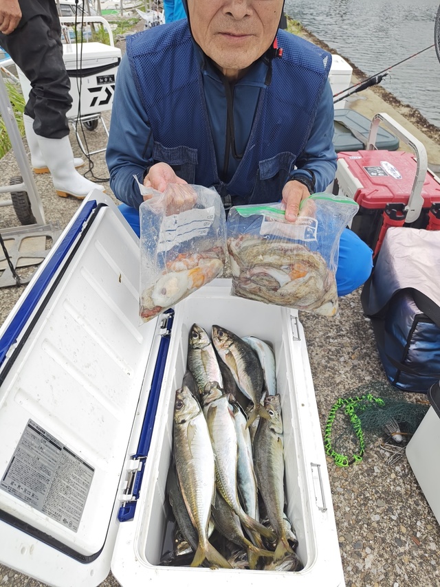 アジ(マアジ)・マダコ