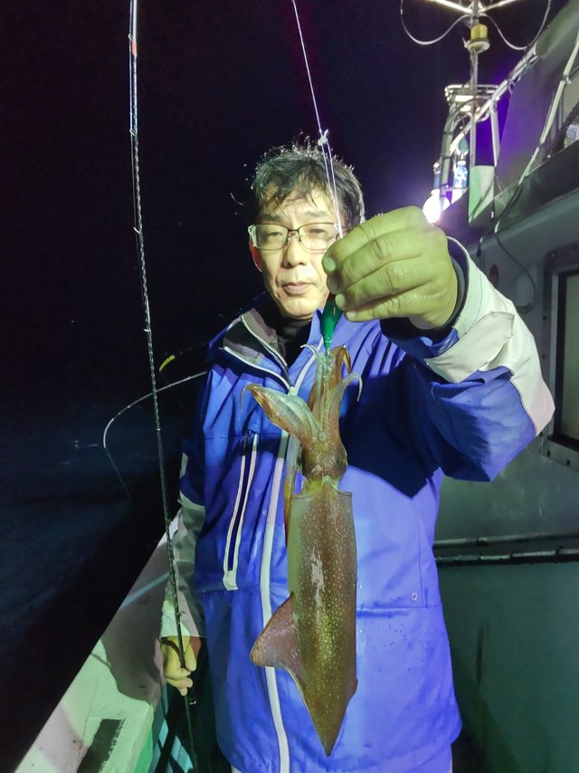 シロイカ(ケンサキイカ)