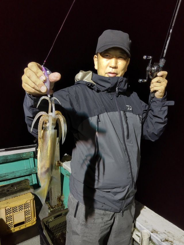 シロイカ(ケンサキイカ)