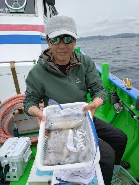 マルイカ(ケンサキイカ)