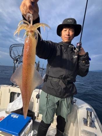 マイカ(ケンサキイカ)