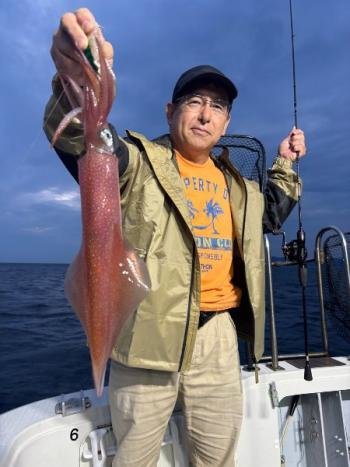 マイカ(ケンサキイカ)