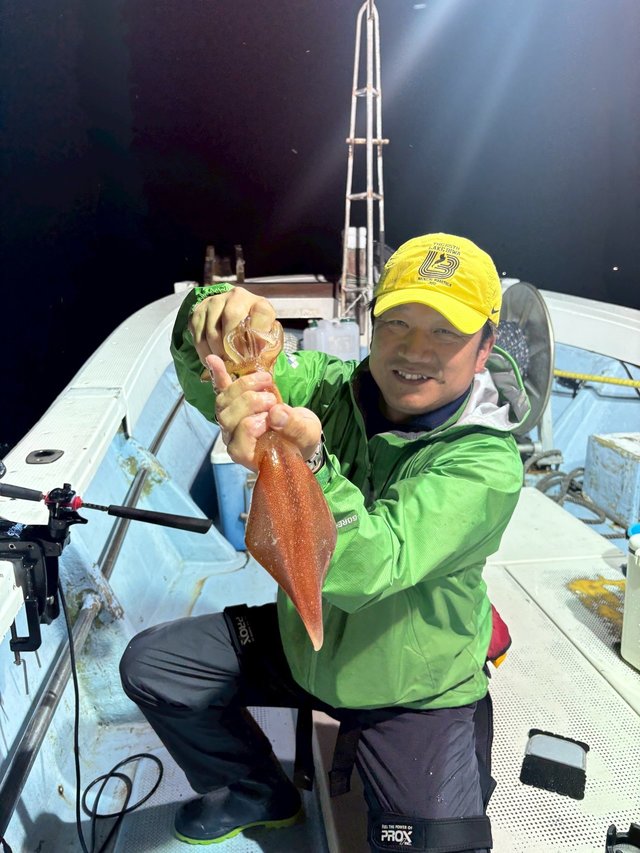 マイカ(ケンサキイカ)