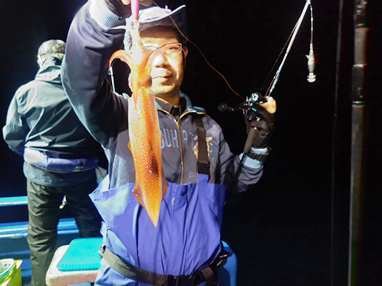 マイカ(ケンサキイカ)