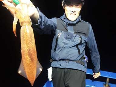 マイカ(ケンサキイカ)