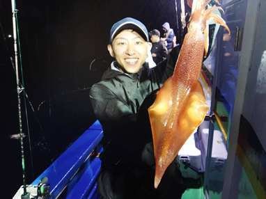 マイカ(ケンサキイカ)