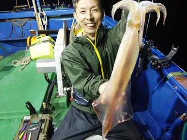 マイカ(ケンサキイカ)