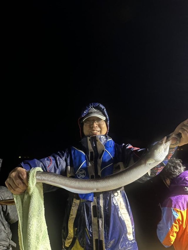 アナゴ(マアナゴ)