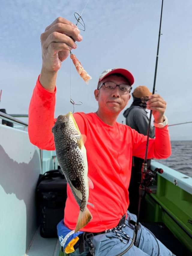 フグ(ショウサイフグ)