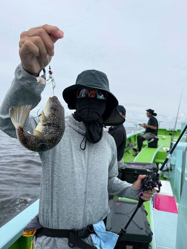 フグ(ショウサイフグ)