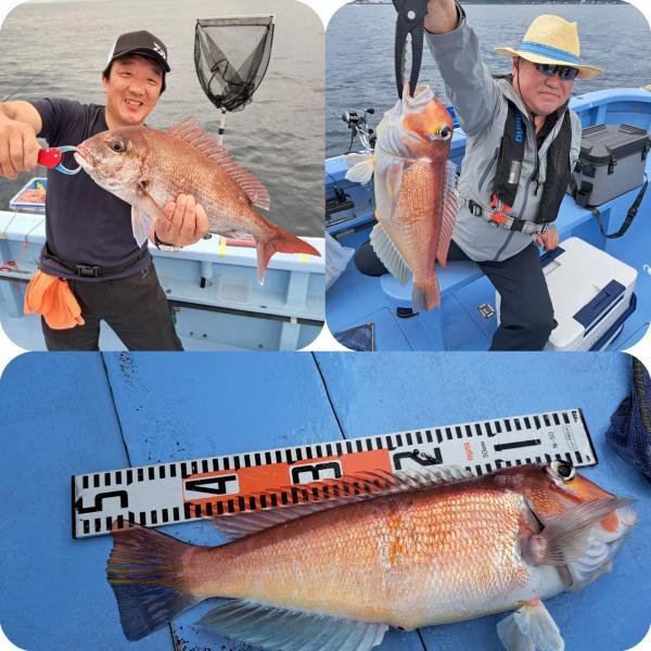 マダイ・アマダイ(アカアマダイ)